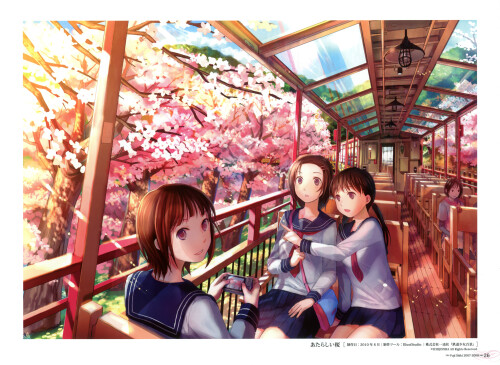 樱花绽放时微笑6