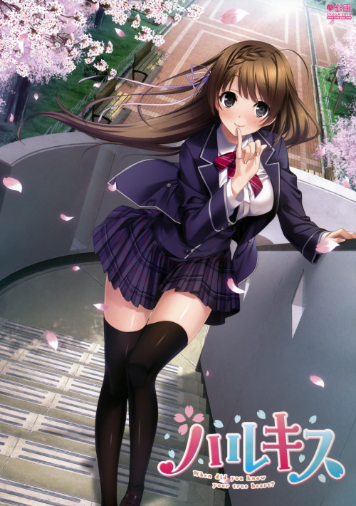 樱花绽放时微笑