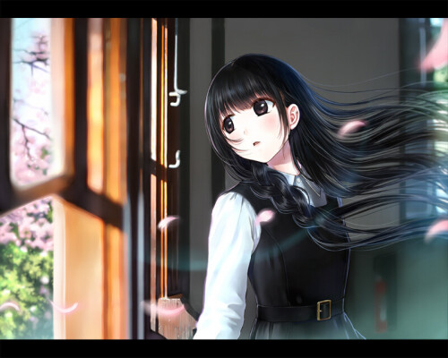 樱花，落在你的窗口