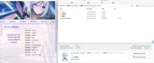PMP4P.png