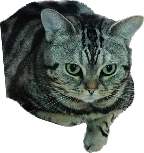 2vV83.png