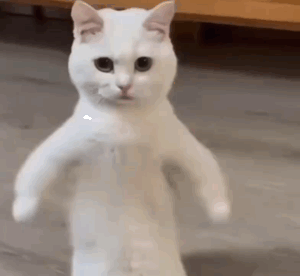 CLdp9.gif
