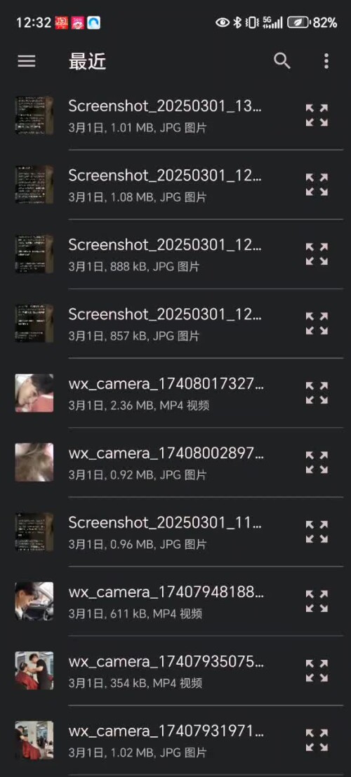 SVID 20250302 123215 1