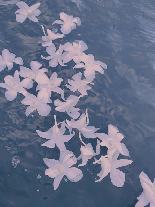 retouch 2025103008545234