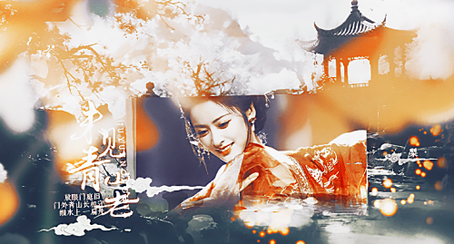 未见青山老 签8梨