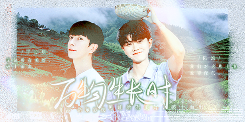 万物生长时 10明洵