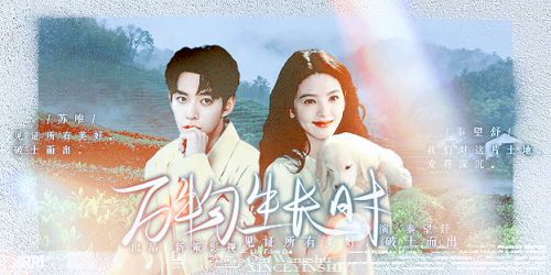 万物生长时 4秦苏