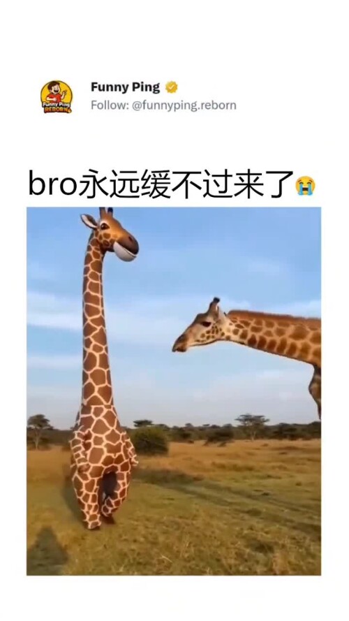 00BC804EC57011189034110FA173AF8E