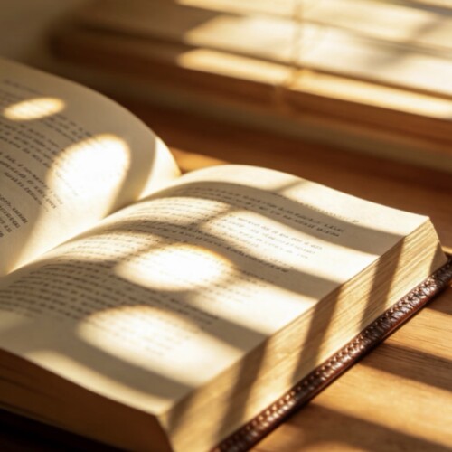XX5U3.jpg