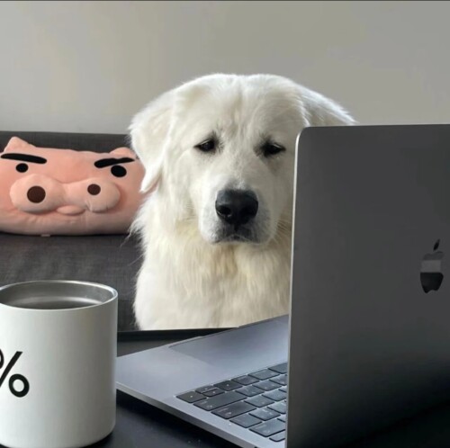 XXetG.jpg