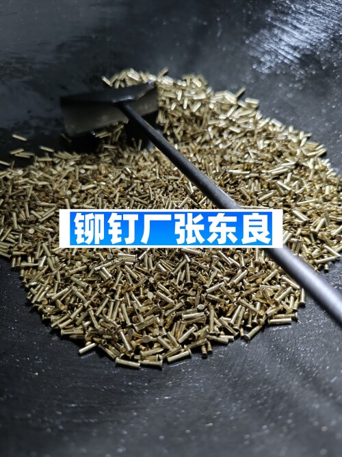bZ8SG.jpg